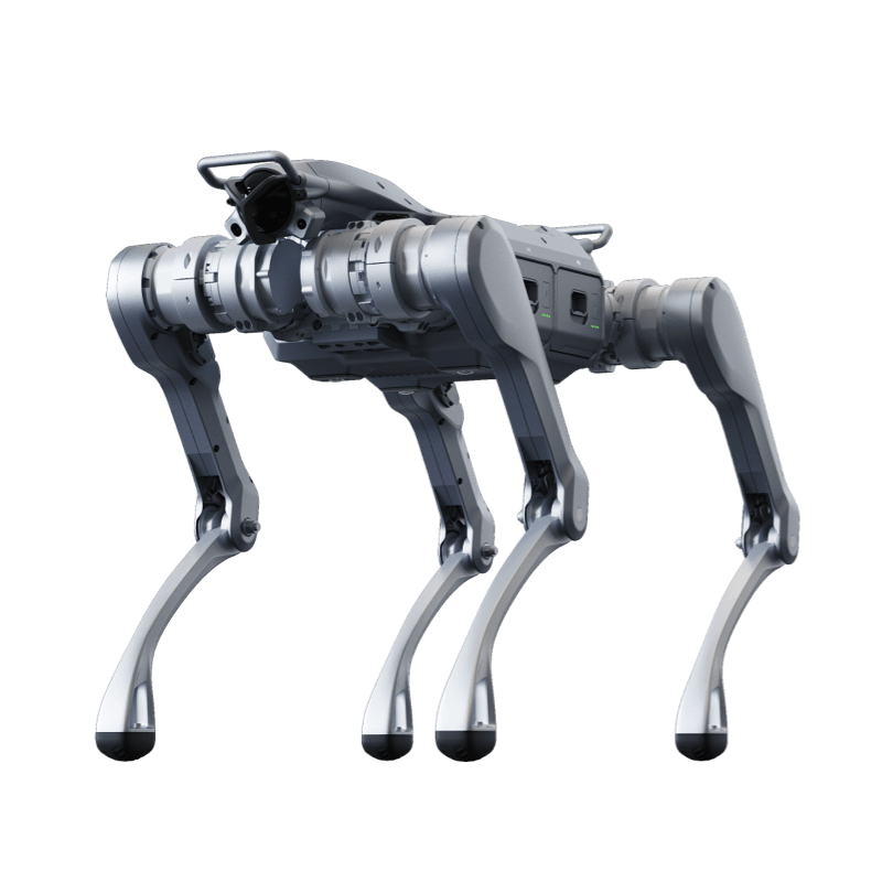 Unitree A2 dört bacaklı köpek robot